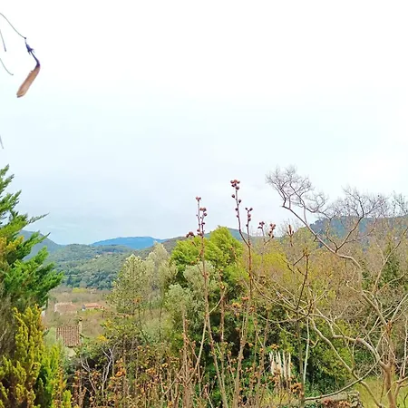 Avec Jardin Et Vue
